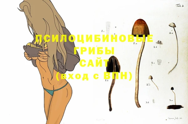метадон Алексеевка