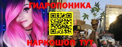 стаф Новозыбков