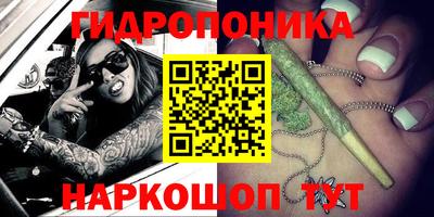 стаф Новозыбков