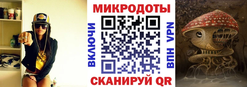 Галлюциногенные грибы Psilocybe  Чернушка 