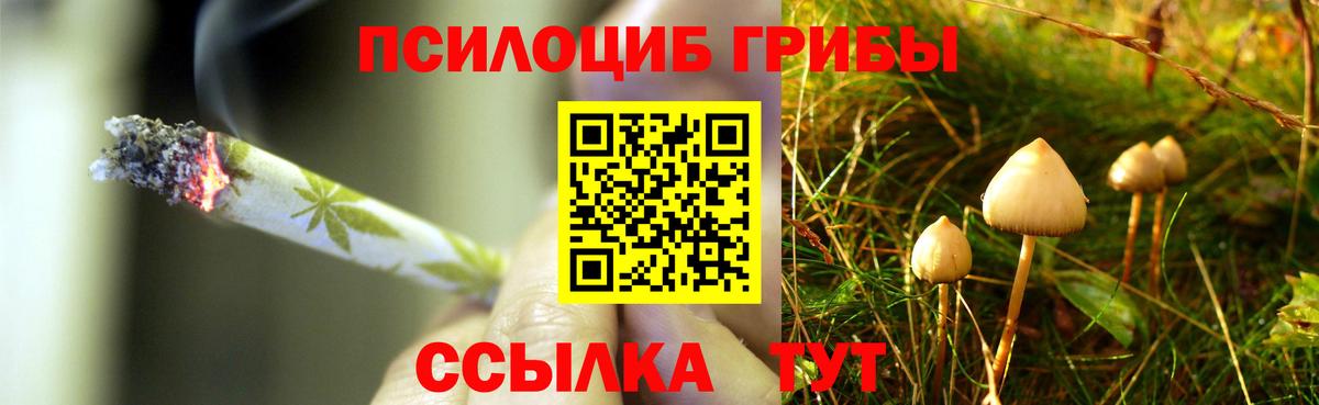 Псилоцибиновые грибы MAGIC MUSHROOMS Чернушка